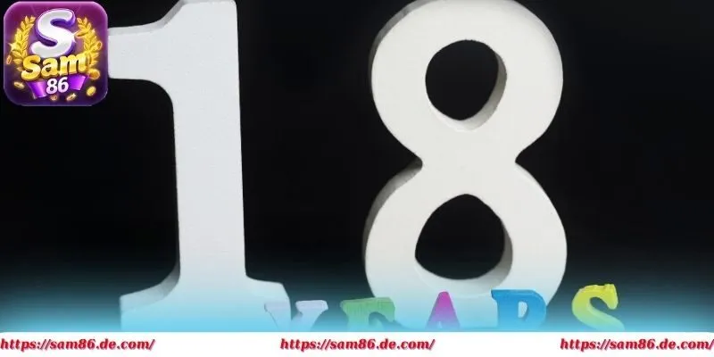 Chỉ người đủ 18 tuổi mới được phép mở nick tại cổng